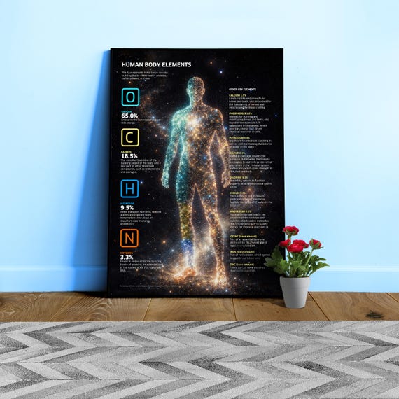 Human Body Elements — Science Poster. Educational Anatomy Print, Classroom Wall Art, Chemistry Biology Chart, Nerdy Gift