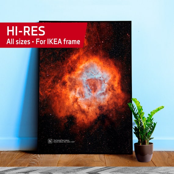 The Flaming Skull Nebula. Rosette Nebula, NGC 2244/2237 — space poster, science poster, space photo, space art, Hubble picture, NASA poster