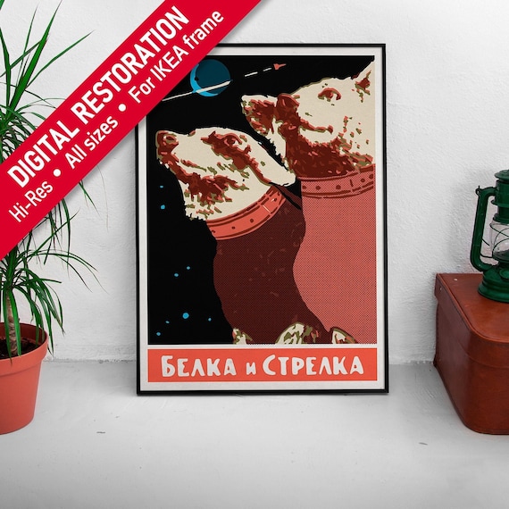 Belka and Strelka, USSR, 1950s — Soviet vintage space poster, soviet space, soviet retro art, propaganda poster