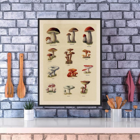 Soviet mushrooms, catalog, USSR 1952 — Soviet vintage food poster, kitchen prints, retro art print, propaganda poster