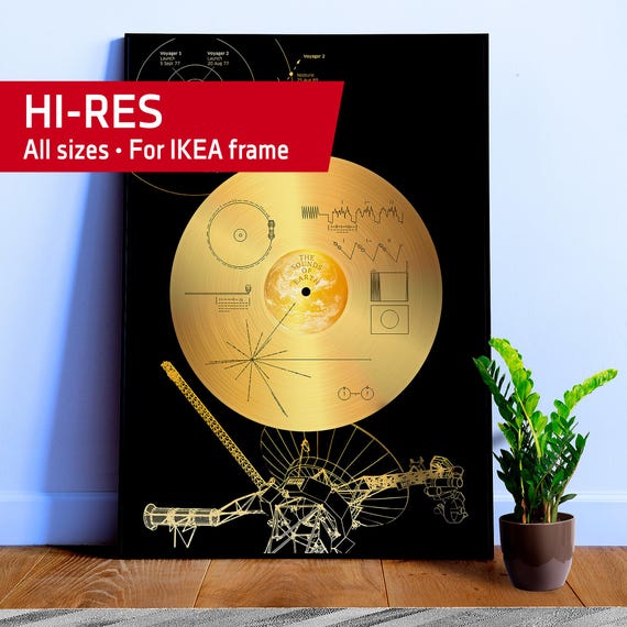 NASA Voyager 1 Golden Record — Space poster, science print, space art, space wall decor, space wall art, NASA poster, science nerdy gifts