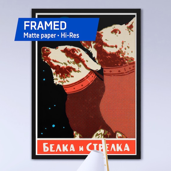 Belka and Strelka, USSR 1950s — Framed matte paper poster. Soviet space poster, retro soviet art print, space race, propaganda poster