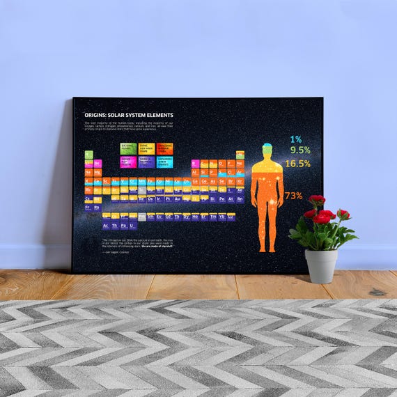 Solar system elements & Human body (astronomy quote) — Space poster. Space art print, science poster, astronomy, science gifts, nerdy gifts