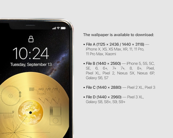 Voyager 1 Golden Record Space Phone Wallpaper, NASA Wallpaper.