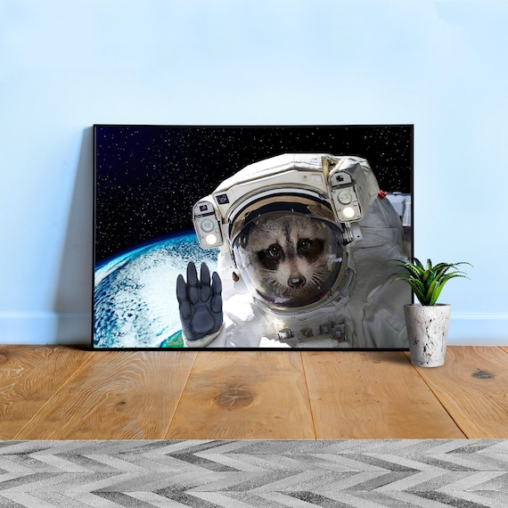 Raccoon astronaut in Earth orbit, NASA photo — space collage poster, astronaut photo portrait, digital collage, space poster