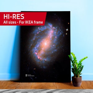 Barred spiral galaxy NGC 6217, NASA Hubble Space Telescope — space poster, science poster, space photo, abstract poster