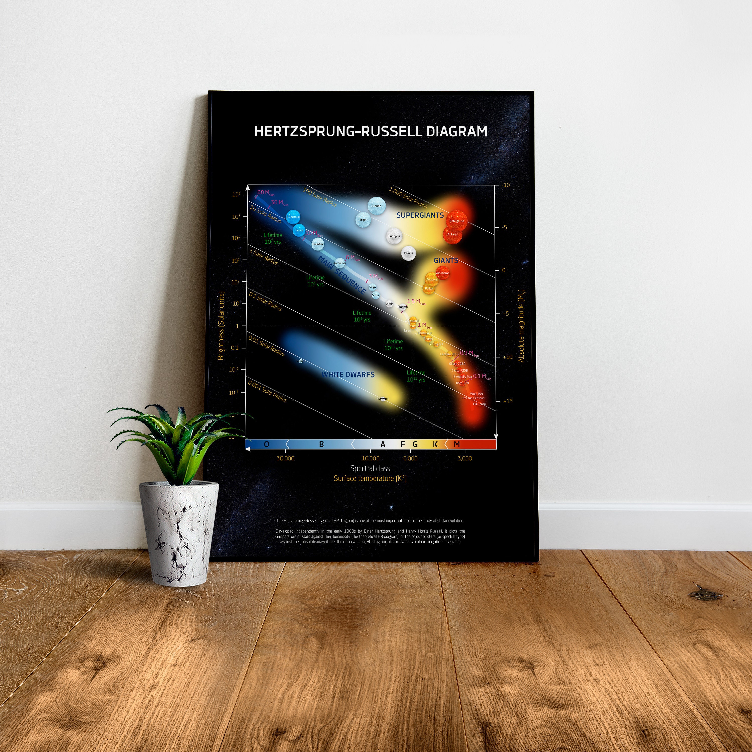 Diagram Hertzsprunga Russella diagram HR wykres HRD plakat naukowy plakat sztuki kosmicznej prezenty naukowe prezenty dla nerdow infografiki plakatow NASA Etsy Polska