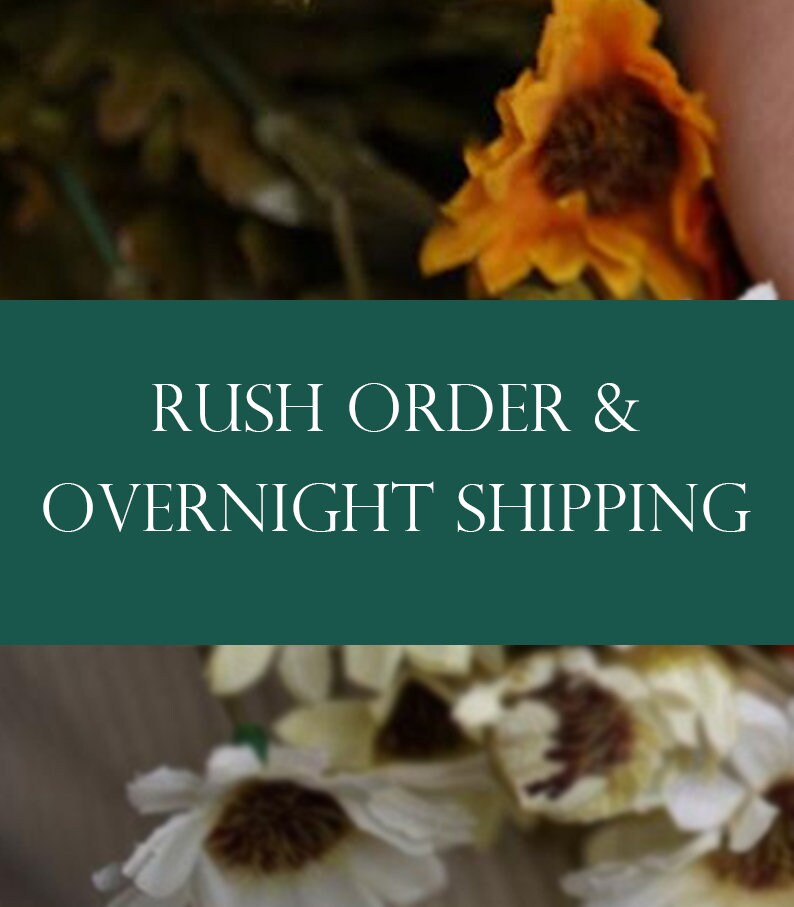 Rush order and overnight shipping