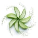 ElvelCosmetics store logo