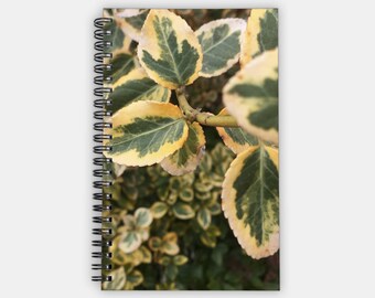 Nature Notebook | Journal | The Golden Euonymus | Leaves | 8"X5"