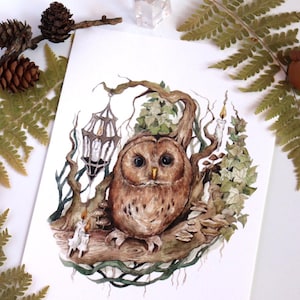 Gufo ad Acquerello, Gufo Magico, Illustrazione Animali, Stampe A5, Arte Magica, Disegni di Animali ad Acquerello