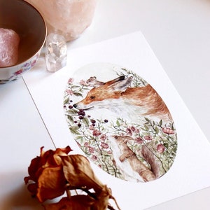 Animali del Bosco, Illustrazione Animali, Illustrazione Botanica, Fiori e Rose, Stampe Animali, Volpe Illustrazione, Scoiattolo Disegni