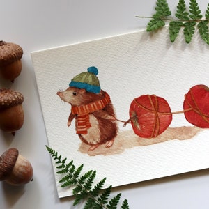 Hedgehog Art, Hedgehog Illustrations, Animal Art, Wildlife Prints, Cute Animals Art, Woodland Animal Prints, Cute Baby Animals