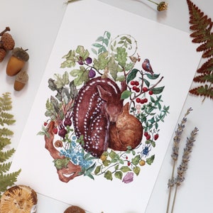 Animali del Bosco, Stampe da Incorniciare, Poster Aesthetic, Il Cerbiatto e Lo Scoiattolo, Illustrazioni Botaniche, Disegni da Appendere