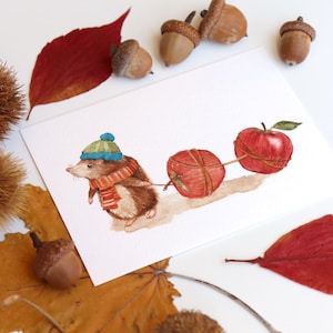 Illustrazione Riccio, Animali del Bosco Disegni, Simpatici Animali, Illustrazioni per Bambini