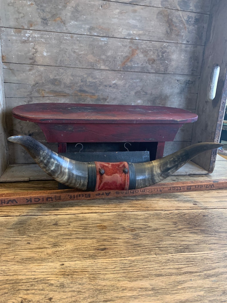 Victorian Mounted Bull Horns