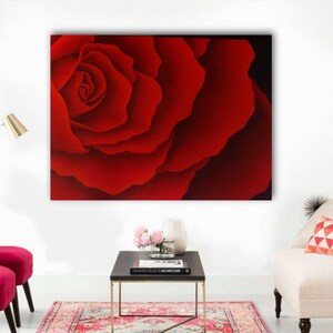May include: A close-up of a single red rose with a deep red color and soft, velvety petals.