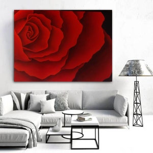 May include: A close-up of a red rose with soft, layered petals. The rose is the focal point of the image, with a dark background.
