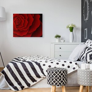 May include: A close-up of a red rose with a soft, velvety texture. The petals are arranged in a spiral pattern, creating a beautiful and delicate design.