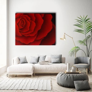 May include: A close-up of a red rose with petals that are curled and layered. The rose is in focus, while the background is blurred.
