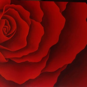 May include: Close-up of a red rose with soft, velvety petals. The rose is in focus, while the background is blurred.