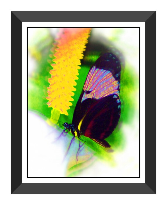 Butterfly Wall Art Decor Original Airbrush Art Unframed Boho Etsy