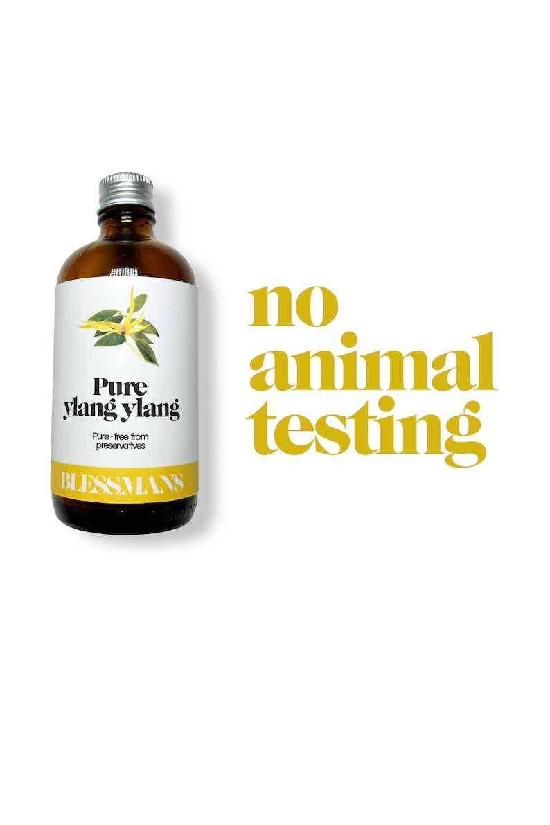May include: A brown glass bottle with a silver lid, containing pure ylang ylang essential oil. The label is white with black text that reads "Pure ylang ylang" and "Pure-free from preservatives". The bottom of the label reads "Blessmans". The text "no animal testing" is written in yellow letters on a white background.