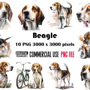 Beagle Dog Png, Beagle Clipart, Beagle Dog Clipart, Beagle Watercolor Png, Beagle Dog Sublimation, Beagle Watercolor Clipart, Png Clipart.