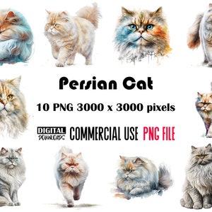 Persian Cat Png, Persian Cat Clipart, Persian Cat Watercolor Png, Persian Cat Sublimation, Persian Cat Watercolor Clipart, Clipart Bundle
