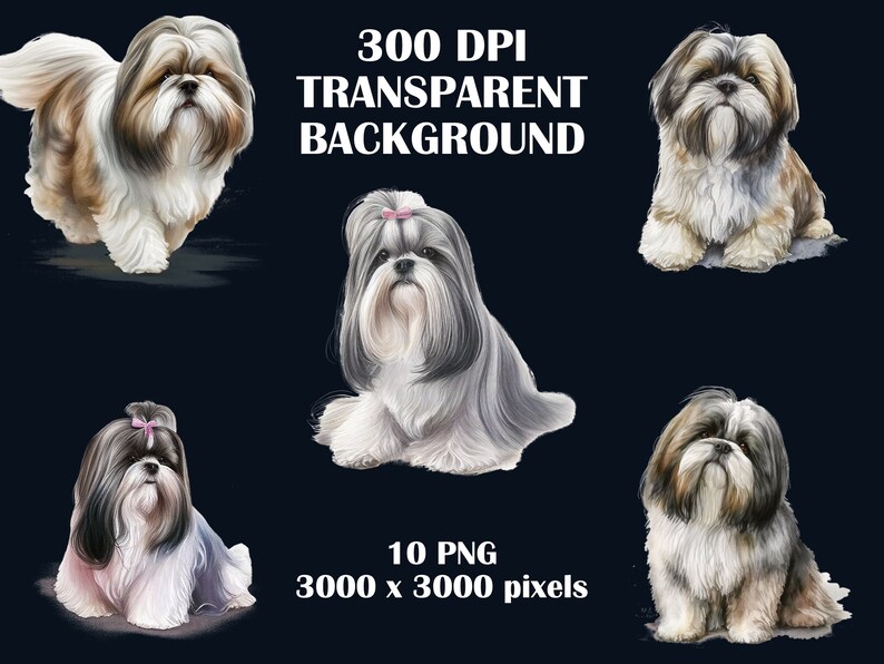 Shih Tzu Watercolor Clipart Bundle: Dog PNG, Sublimation Design ...