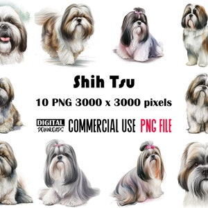 Paquete de imágenes prediseñadas de acuarela de Shih Tzu: Perro PNG, diseño de sublimación (descarga digital)
