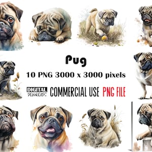 Paquete de imágenes prediseñadas de acuarela de Pug: Perro sublimado PNG (descarga instantánea)