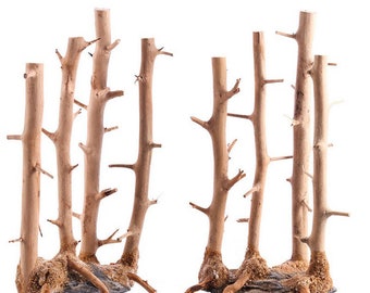 Fish Tank Driftwood Natural Wood Tree Branches Aquarium Landscape Plant Ornament
