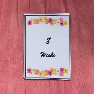 Cartes d'étape de grossesse. Cartes Bump. Marguerites colorées, fleurs. 20 cartes/pack