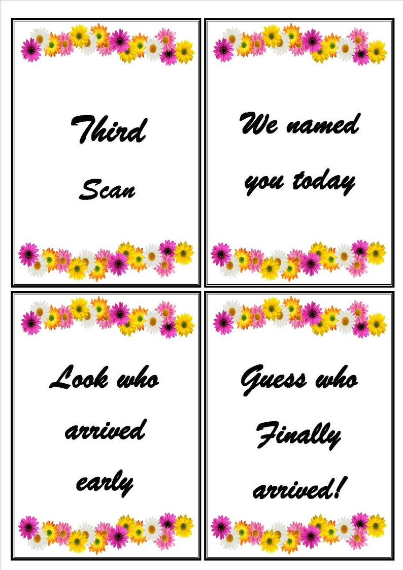 Pregnancy Milestone Cards. Bump Cards. Colourful Daisies, Flowers. 20 ...