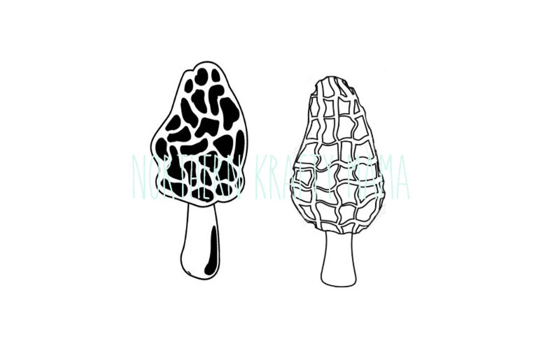 Morrell Svg Morel Mushroom SVG PNG JPG - Foraging - Spring Forager - Mushrooms ...
