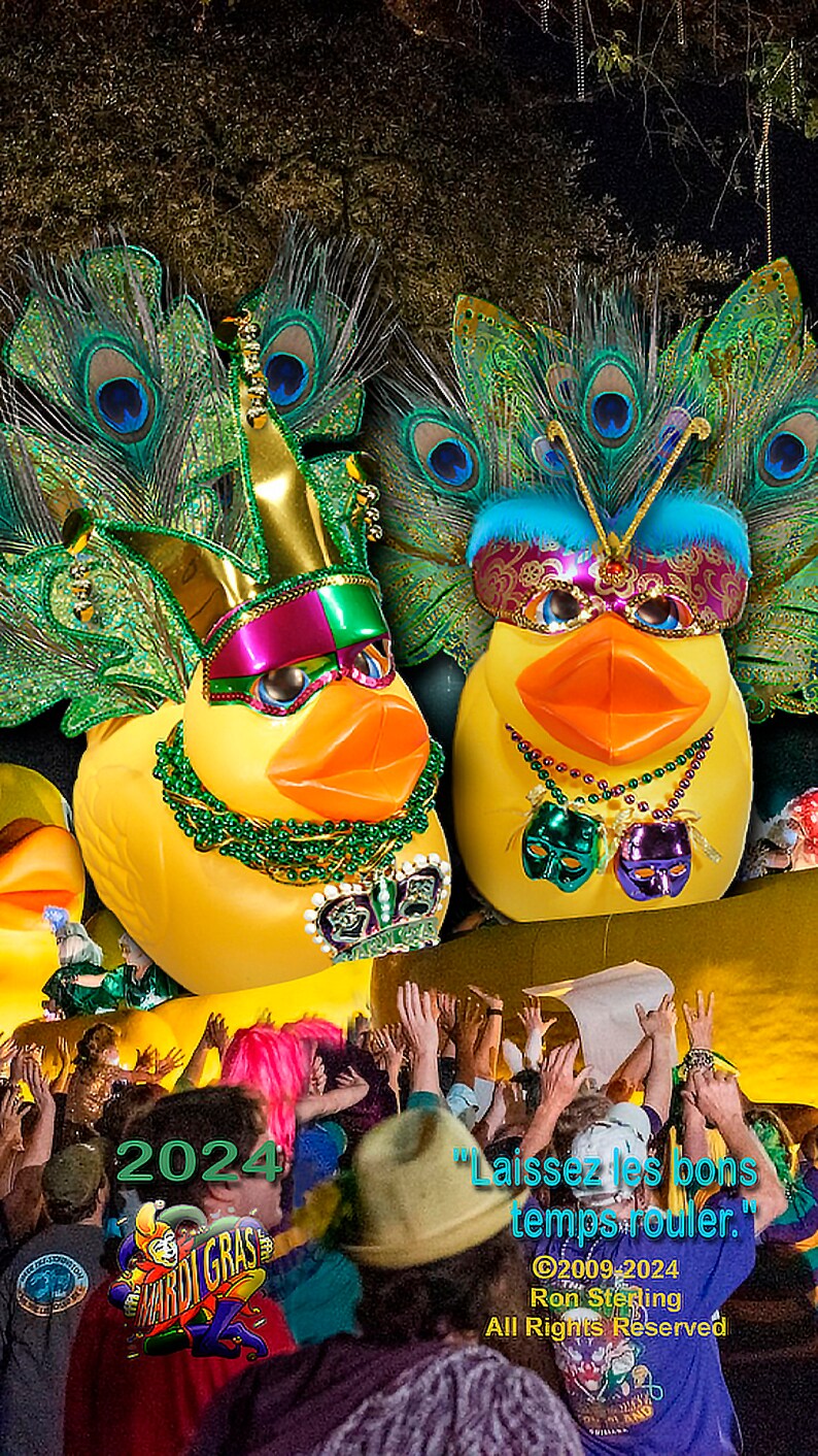 mardi gras duck beads