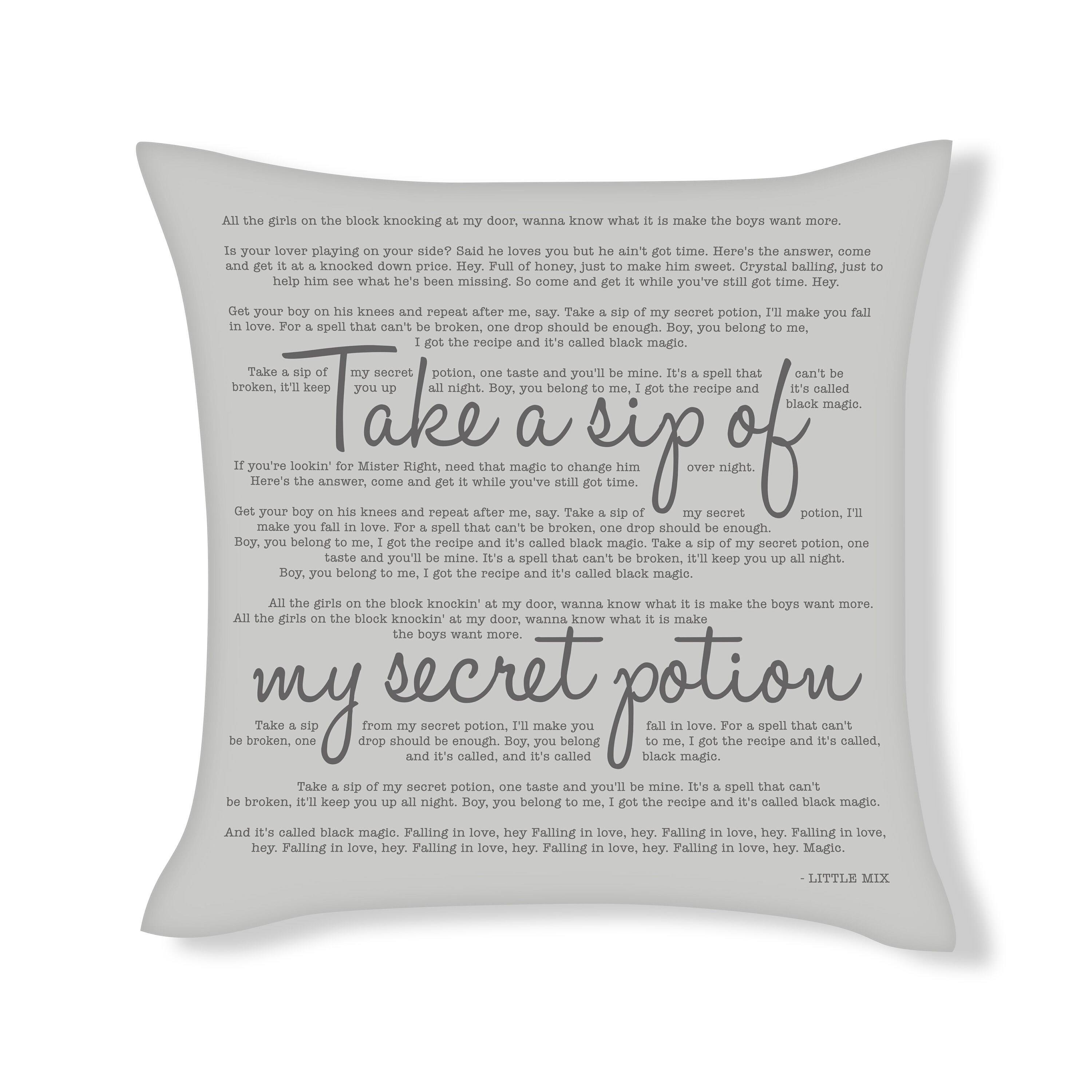 Take A Sip Of My Secret Potion Song Lyrics Cushion Cover Etsy