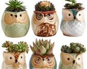 Owl Pot, Set Of 6, Ceramic Flowing, Glaze Base, Succulent Plant Pot, Cactus Plant Pot, Flower Pot, Container Planter, Bonsai Pots, Gift Idea