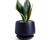 Potey Ceramic Plant Pot, Flower Planters 5.9 with Drainage Hole, Saucer Medium Pots for Indoor Plant, Modern Planter, Matte black