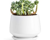 Potey Ceramic Plant Pot, Flower Planters 5.9 with Drainage Hole, Saucer Medium Pots for Indoor Plant, Modern Planter, Pure White