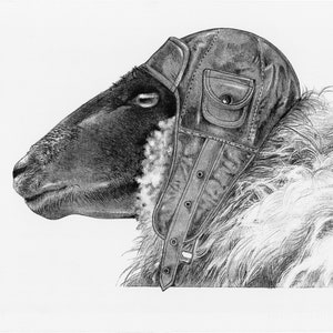 Puede incluir: Un dibujo en blanco y negro de una oveja con un casco de aviador de cuero marrón con una correa y una hebilla. La oveja mira hacia la derecha.