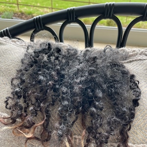 Seltene Silber / Schwarz lange Locken 20-25 cm
