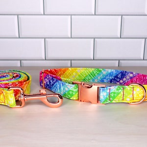 Rainbow Stripe Pride Print Luxury Dog Collar and Leash Set with Rose Gold Metal Hardware - Adjustable Dog Collar, 100% Cotton Collar/Leash