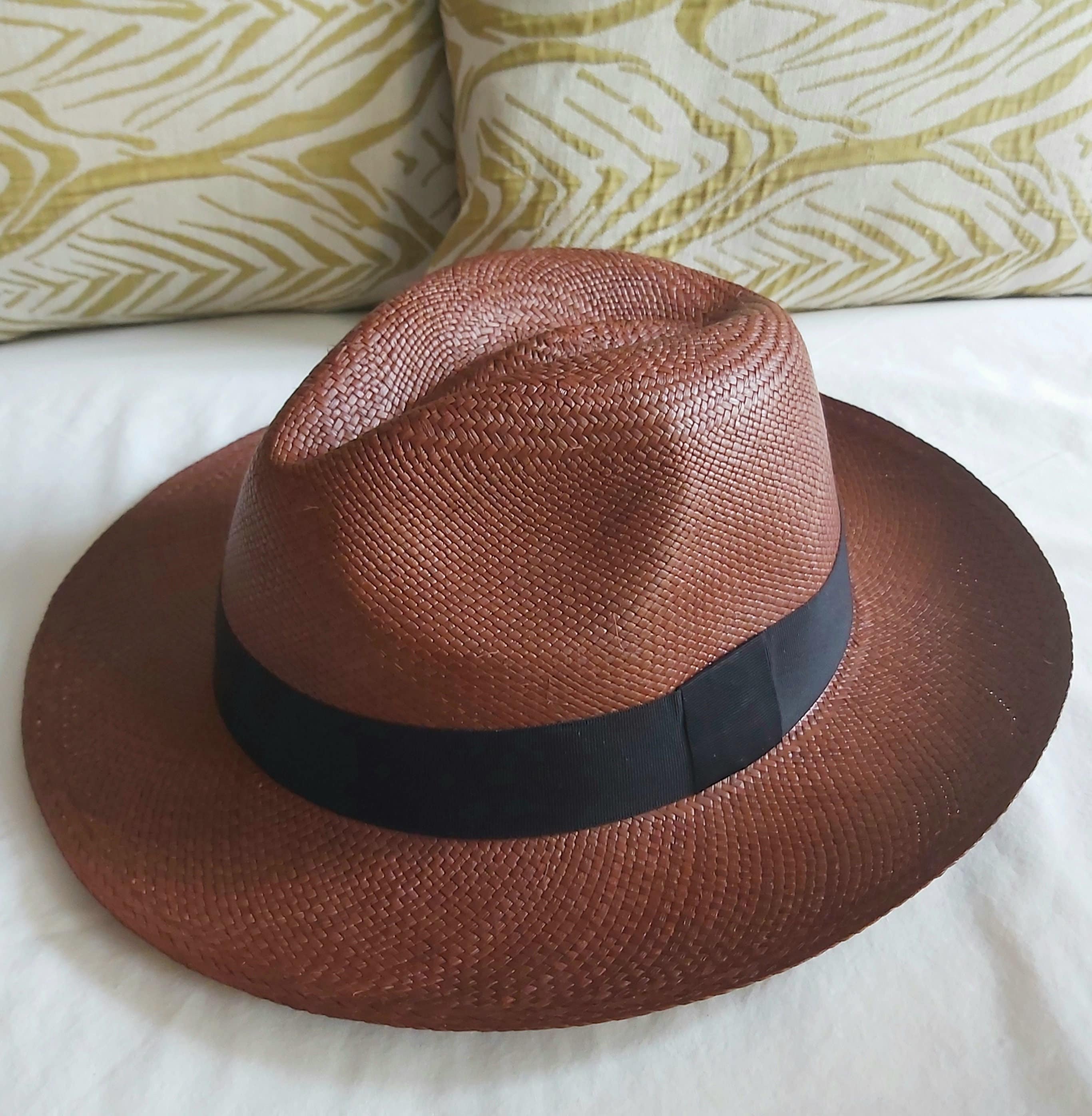 Brown panama best sale hat