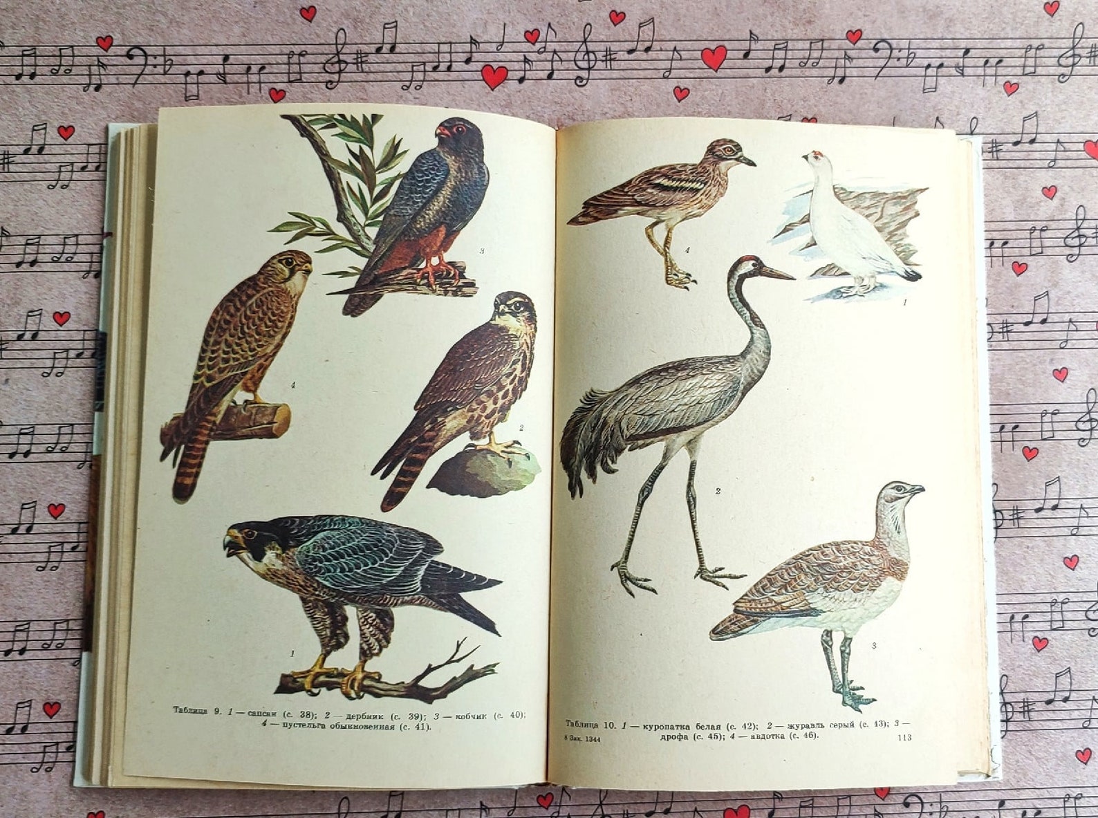 Illustrated nature book herb books vintage bontanical book Etsy