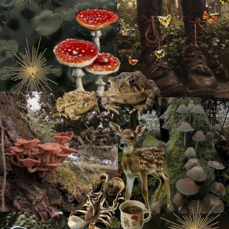 May include: A collage of images featuring a forest scene with mushrooms, toadstools, a deer fawn, a toad, butterflies, and boots. The images are arranged in a grid pattern and have a whimsical, fairytale-like aesthetic.