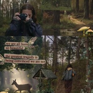 May include: A collage of forest scenes with a person taking a photo, a deer, and text that reads "we are all born so beautiful, the greatest tragedy is being convinced we are not."