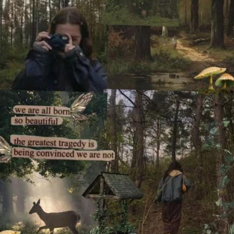 May include: A collage of forest scenes with a person taking a photo, a deer, and text that reads "we are all born so beautiful, the greatest tragedy is being convinced we are not."