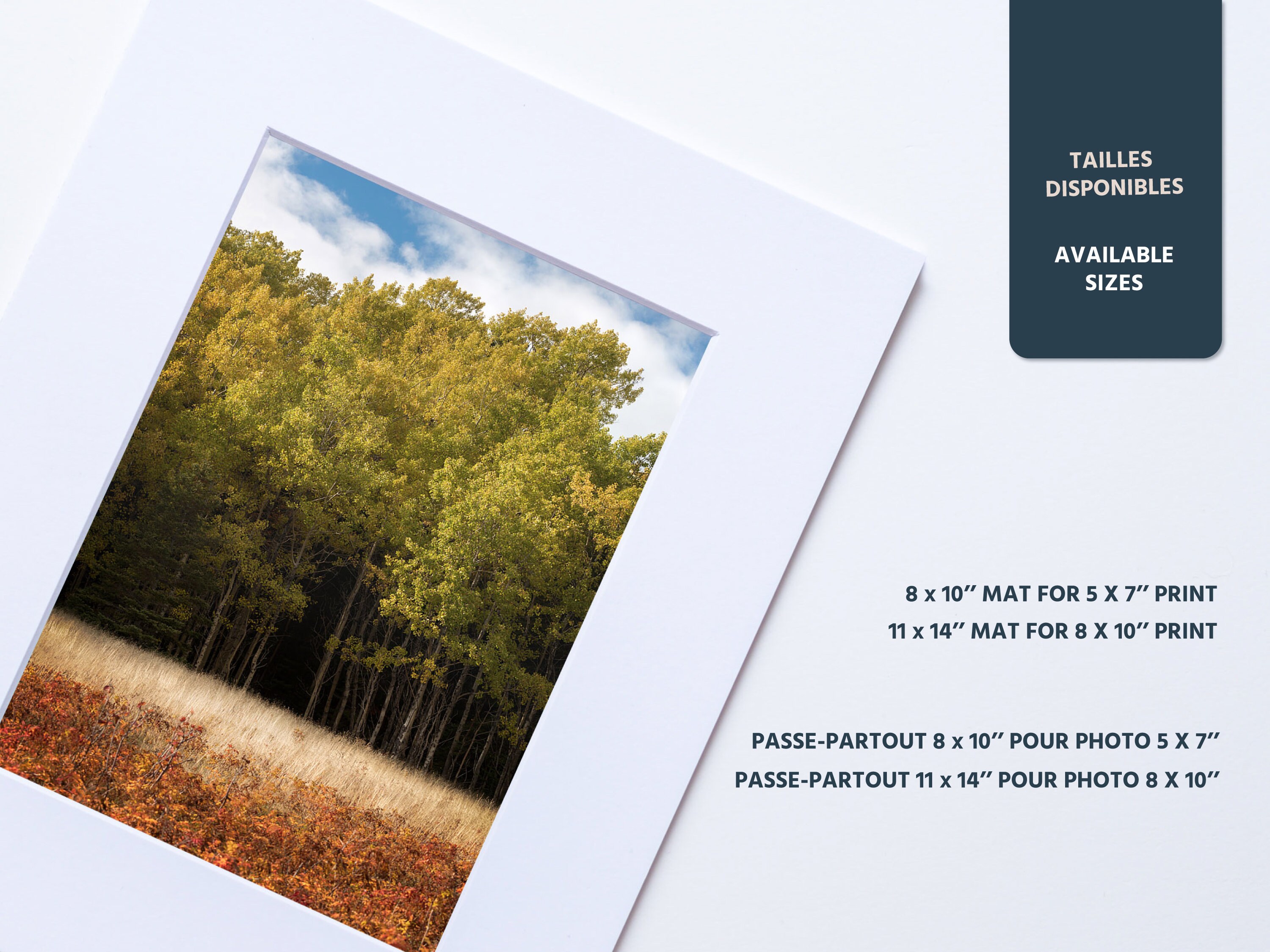 11x14 mat with 8x10 opening Acid free mat for 8x10 picture Etsy